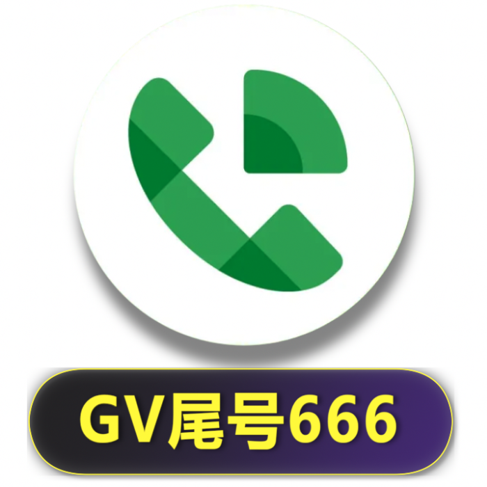 GV尾号666，不带【4】